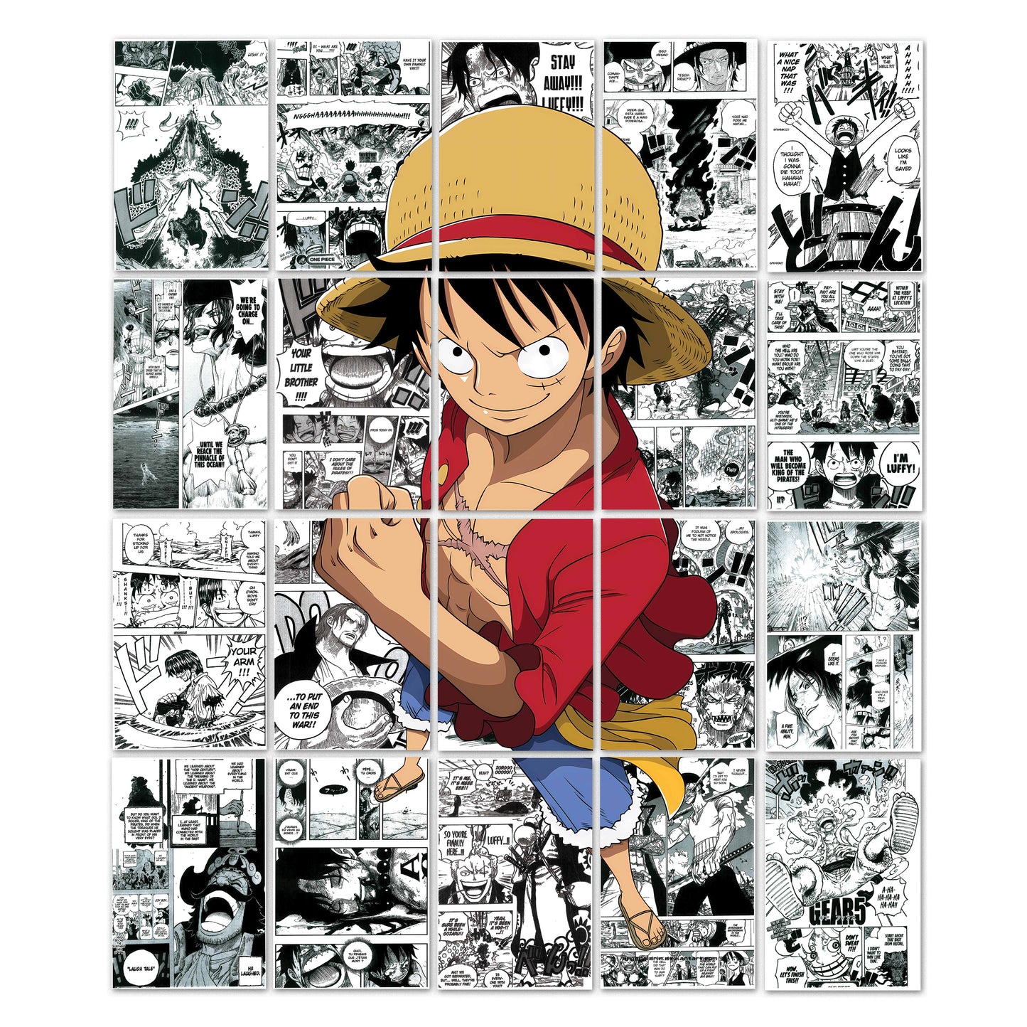 Monkey D Luffy One Piece Wall Panel